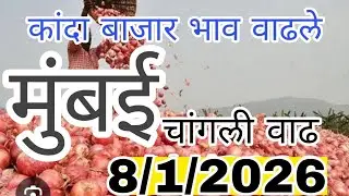 मुंबई कांदा बाजार भाव वाढले,kanda bajar bhav, mumbai kanda market report today live, onion market