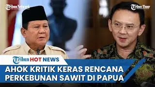 Ahok Sarankan Lokasi Cocok Buka Perkebunan Sawit ke Presiden Prabowo