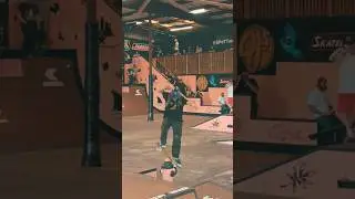 Andy Anderson Natas Spins!! #skateboarding