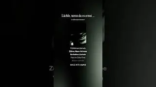 Lächle, wenn du es ernst meinst  1