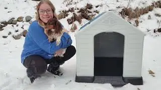 A Dream Home for Dogs &ndash; Testing the Coziest Dog House!
