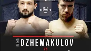 Motiv Contender Pro MMA