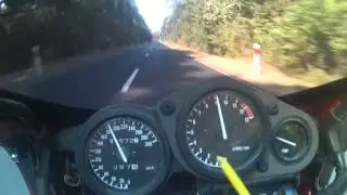 fzr600 3he