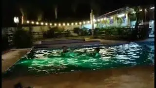 🔴POOL PARTY @Lux 2.0