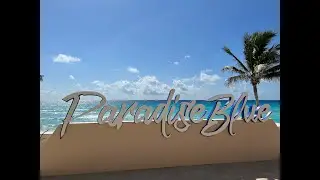 Paradise Blue 2022