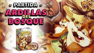 🥜Ardillas del Bosque Cómo jugar y partida doble