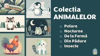 🐻❄️ Animale pentru copii: Polare, Nocturne, De la Fermă, Insecte și Animale din Pădure 🌙✨ | 25 min
