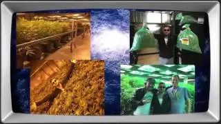 Getting Doug With High - Doug Benson with Colorado Cannabis Tours