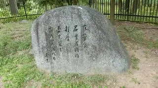 植木一筋12年＃2020年8月7日8時40分撮影　仁徳天皇陵古墳　＃古墳時代から引き継がれる錦鯉　＃令和ＲＥＩＷＡの姫宮ＨＩＭＥＮＯＭＩＹＡ　＃令和紅白 れいわこうはく　＃令和秋翠れいわしゅうすい