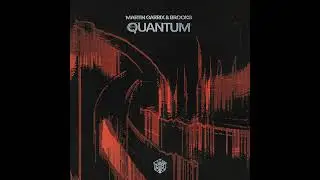 Martin Garrix & Brooks - Quantum (Extended Mix)