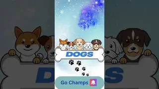 Pepper The Puppy #Animals #KidFriendlyFacts #FunLearning #dog  #GoChampsFunFacts