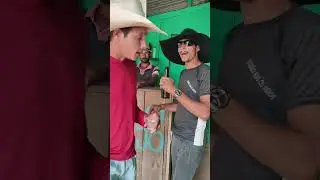 Largatixa que manda um pião embora 