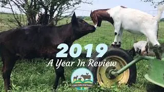Iowa Farm Sanctuary- 2018 Year In Review
