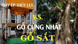 M&Aacute;Y &Eacute;P THUỶ LỰC V.S GỖ CỨNG NHẤT, GỖ SẮT | GỖ SỒI XẺ SẤY | GỖ SỒI MỸ | TIMBER LIFE