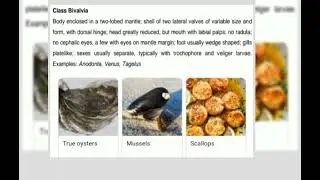 Chapter 7 (Molluscs, Annelids and Antropods)