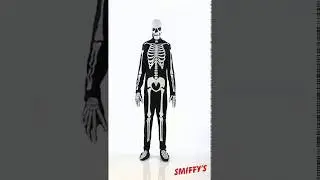 Dark Glow Skeleton Costume