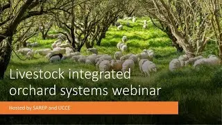 Part 1: Integration of livestock in orchard systems.