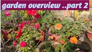 Dekhiye january me garden kaisa chal rha hai