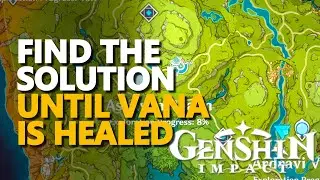 Find the solution Genshin Impact
