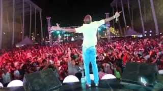 Trinidad Carnival 2014 | TRIBE I.C.E.