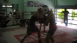 Sparring Manfah Galaxy (WBA Asia Champion 140lbs)