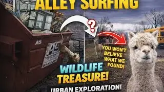 Alley Surfing Adventures: Dumpster Diving, Urban Wildlife & Hidden Treasures