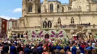 Impresionante Ofrenda Floral a Santa María Catedral Burgos San Pedro San Pablo 2023 Gigantillos Jota