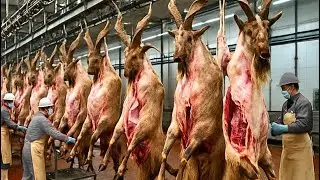 Inside the Wild Goat Leather Factory | Luxury Leather Secrets Revealed | Full Process