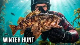 2025 Winter Spearfishing in California