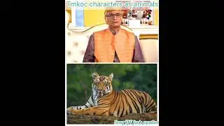 tmkoc characters as animals #tmkoc #viral #sonu #animals #tapu #trendingshorts #shorts