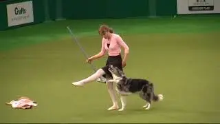 2009 Crufts - Tina Humphrey