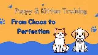 Puppy & Kitten Training: From Chaos to Perfection #pets #petlover  #PetBehavior #PetCareTips