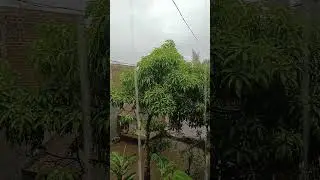 Cinematic Village Rain ASMR #RainASMR #Relax #SleepSounds