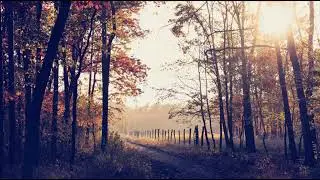 Herbsttyp