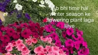 Ab bhi time hai winter season ke flowering plants laga dijiye #Nature lover Rain #subscribe