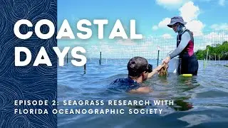🌊 COASTAL DAYS Ep. 2 | Seagrass research with Florida Oceanographic Society