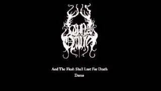 Luna Occulta - Within A Sea Of Absence