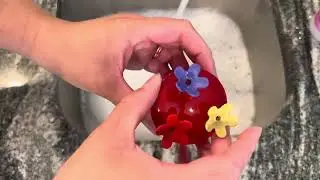 Window Hummingbird Feeder Review 