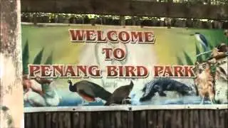 Penang Bird Park & Aquarium 19 Dec 15