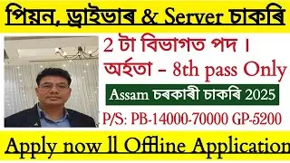 Assam government job peon, Driver server 2025 // 8th ass job in assam ll