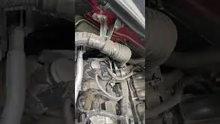 El Ruido que hacen las toyotas tacomas en el motor