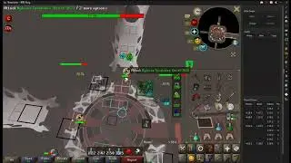 309 Duo Rdps
