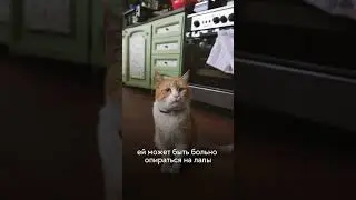 Хотите узнать больше о натуральном питании, подписывайтесь и переходите по ссылке в шапке профиля