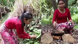 Survival Skills Cooking: Find catch grasshoppers to cook for food eating delicious #20