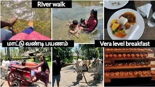 Day in Pollachi -2||Coco Lagoon resort -2||River walk||Vera level Breakfast 🥞||மாட்டு வண்டி பயணம் 🐂🐂
