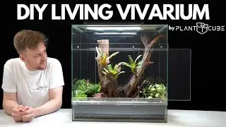 Building the Ultimate Self-Sustaining Vivarium | PlantCube Setup!