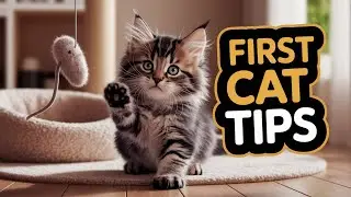 10 Genius Cat Hacks for First Time Owners 🐱