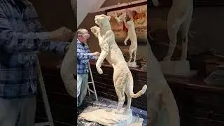 The one that got away   Idea to reality