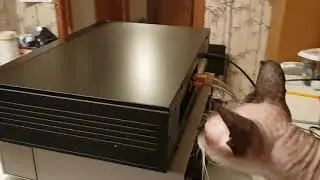Philips CD604