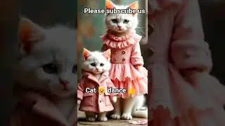 cat dance| 👍🐱|#catvideos #usacat #catshort